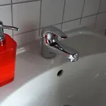 Rudik *