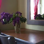 Rudik Apartament Železná Ruda