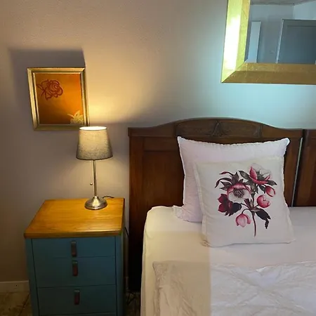 Apartment Rudik Zelezna Ruda