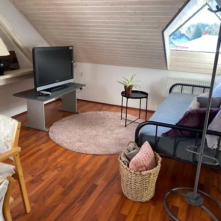 Rudik Apartment *