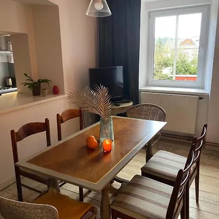 Apartment Rudik *