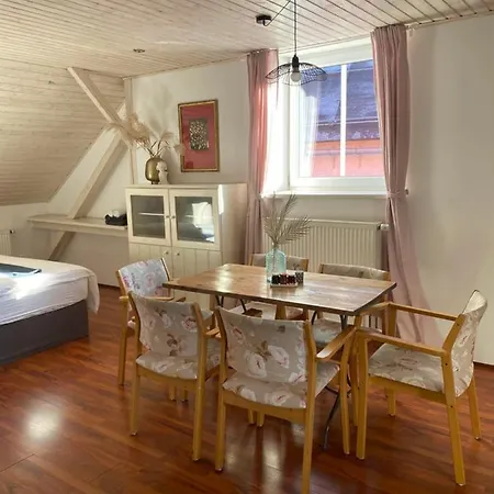 Rudik Apartment Zelezna Ruda