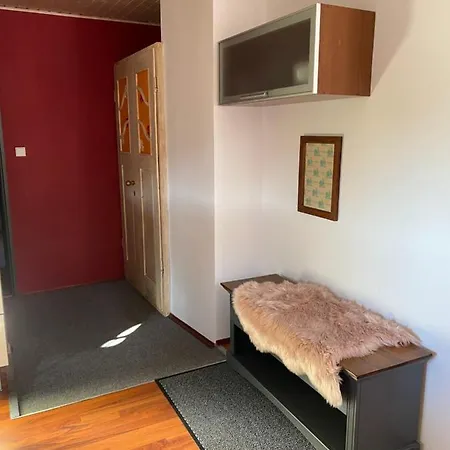 Apartment Rudik