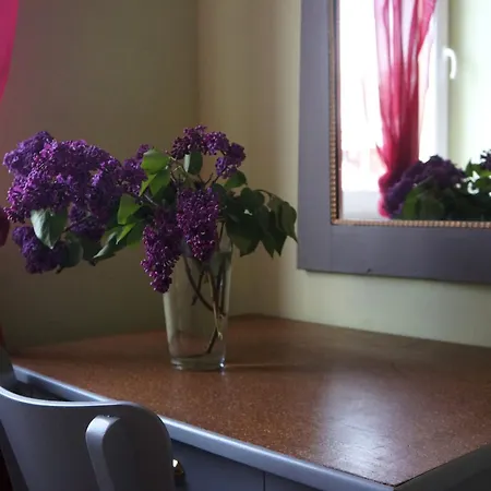 Rudik Apartment Zelezna Ruda