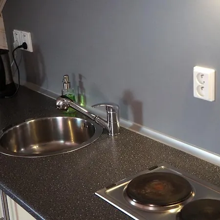 Rudik Apartment Zelezna Ruda